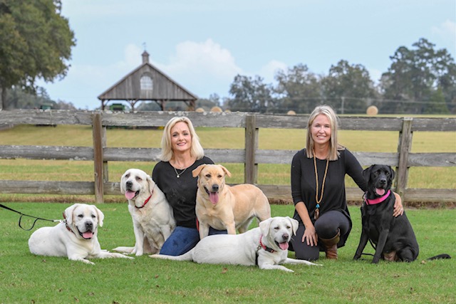 G L Southern Bred Labradors