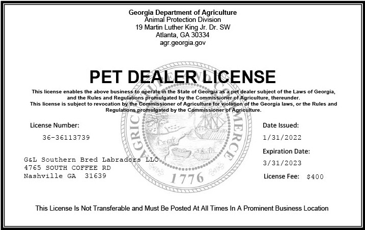 pet dealer license